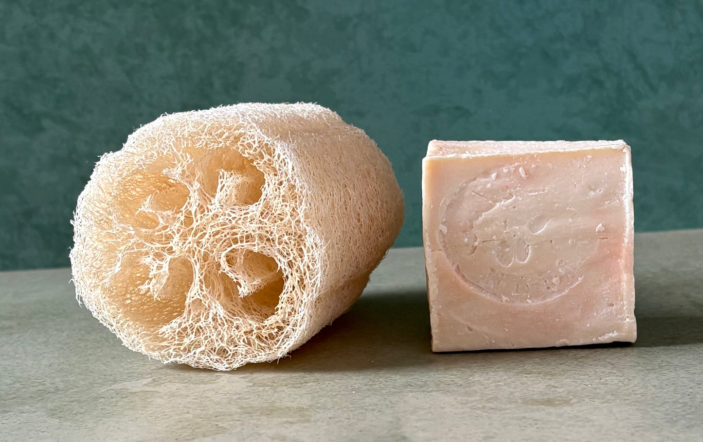 Heirloom Luffa Bath Sponge (California)