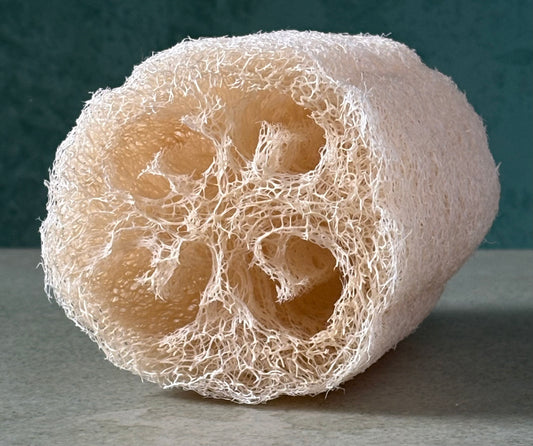 Heirloom Luffa Bath Sponge (California)