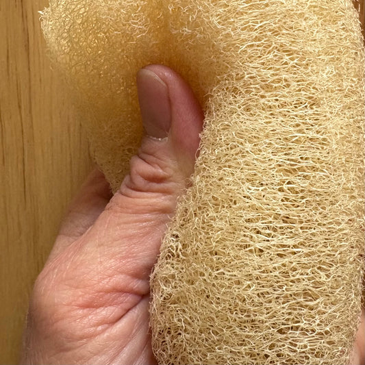 Heirloom Luffa Bath Sponge (Nipomo, California)