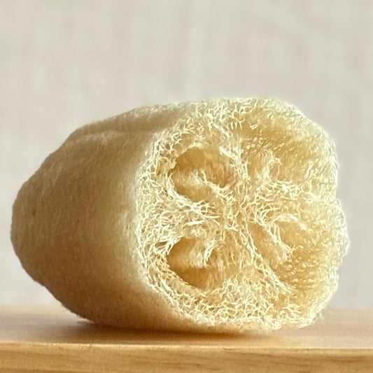 Heirloom Luffa Bath Sponge (Nipomo, California)
